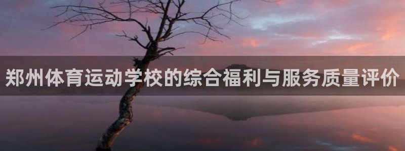 雷速模拟器：郑州体育运动学校的综合福利与服务质量评价