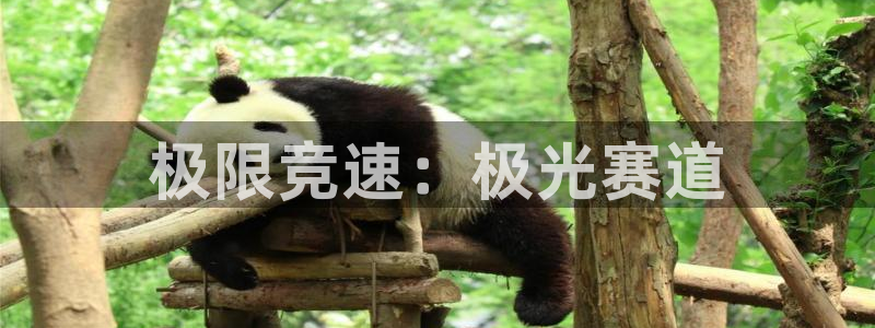 雷速体育app官网