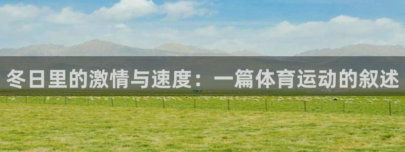 雷速体育官网：冬日里的激情与速度：一篇体育运动的叙述