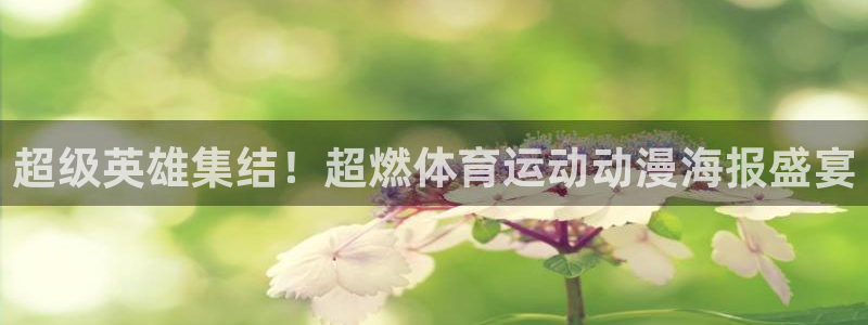 雷速小程序