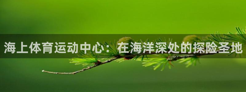 雷速新版本没指数